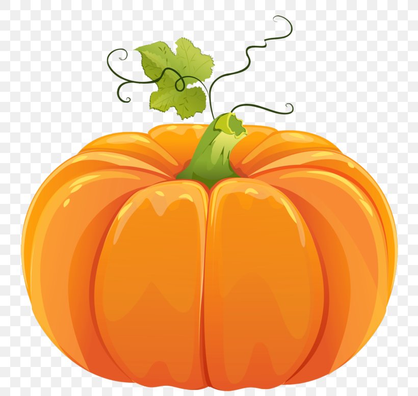 Field Pumpkin Clip Art Vegetarian Cuisine Jack-o'-lantern, PNG, 800x777px, Field Pumpkin, Bell Pepper, Bell Peppers And Chili Peppers, Calabaza, Cucurbita Download Free