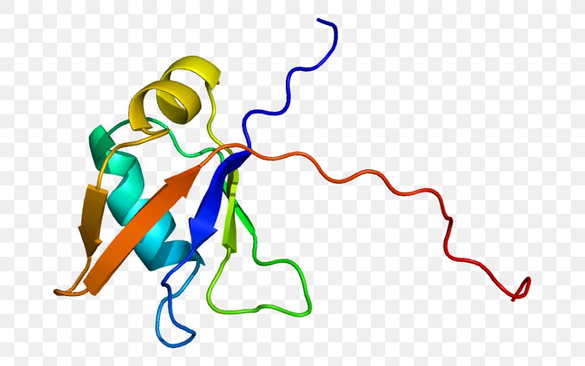 TARDBP Protein Folding RNA-binding Protein Gene, PNG, 721x513px, Watercolor, Cartoon, Flower, Frame, Heart Download Free
