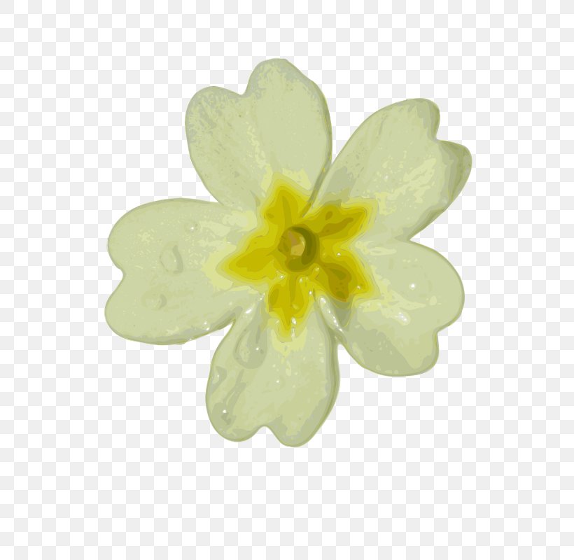 White Flower Clip Art, PNG, 566x800px, White, Color, Drawing, Flower, Flowering Plant Download Free