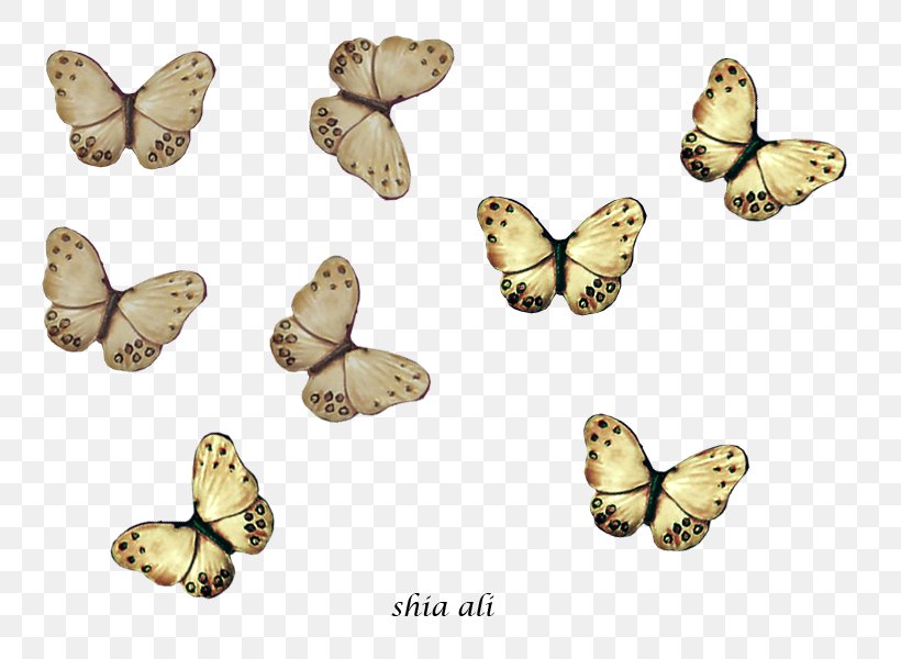 Brush-footed Butterflies Shia Islam Drawing Pieridae Moth, PNG, 800x600px, Brushfooted Butterflies, Ali, Brush Footed Butterfly, Butterfly, Deviantart Download Free
