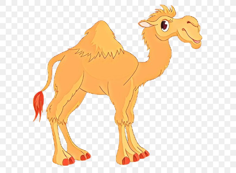 Camel Music Television Show YouTube, PNG, 600x600px, Camel, Animal Figure, Arabian Camel, Bactrian Camel, Camelid Download Free