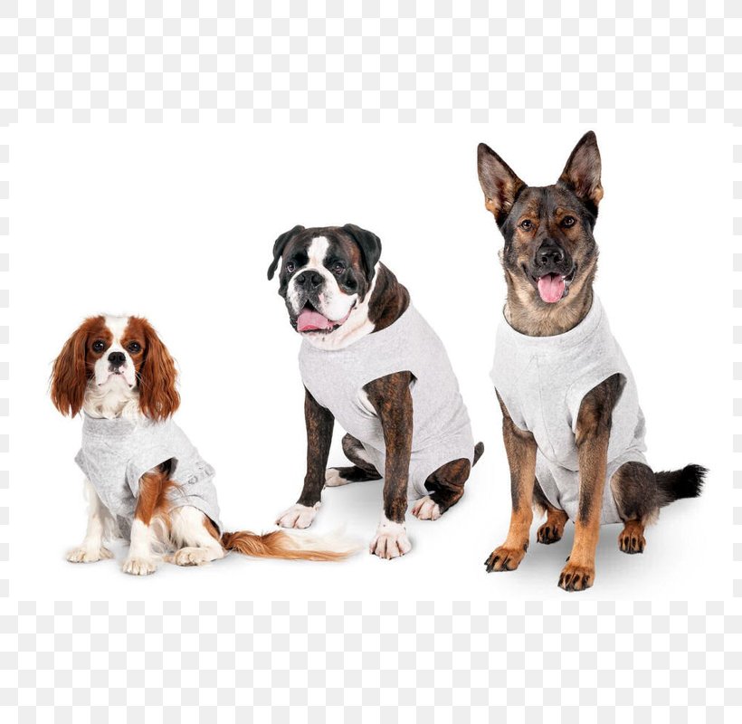 Dog T-shirt Snap Fastener Cat Flamingos, PNG, 800x800px, Dog, Bodysuit, Carnivoran, Cat, Clothing Download Free