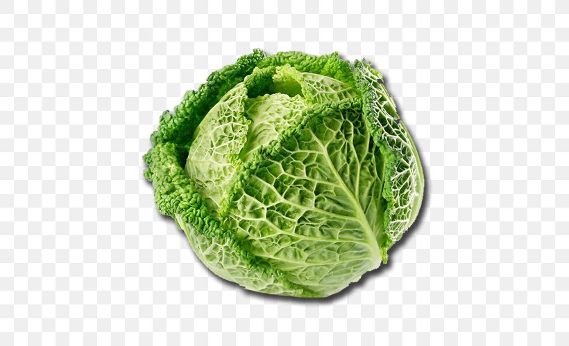 Savoy Cabbage Vegetable Variety Salad Cauliflower, PNG, 500x500px, Savoy Cabbage, Broccoli, Cabbage, Cabbage Roll, Cabbages Download Free