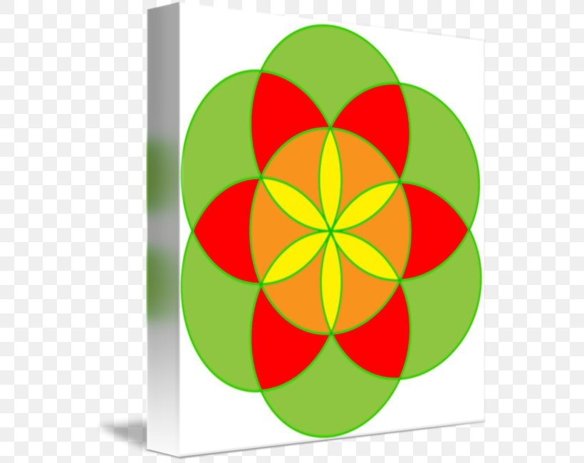 Symbol Pattern, PNG, 554x650px, Symbol, Flower, Fruit, Green, Petal Download Free