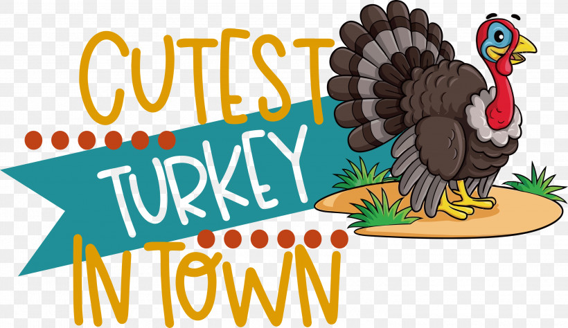 Cutest Turkey Thanksgiving Turkey, PNG, 3000x1736px, Thanksgiving Turkey, Beak, Biology, Birds, Chicken Download Free