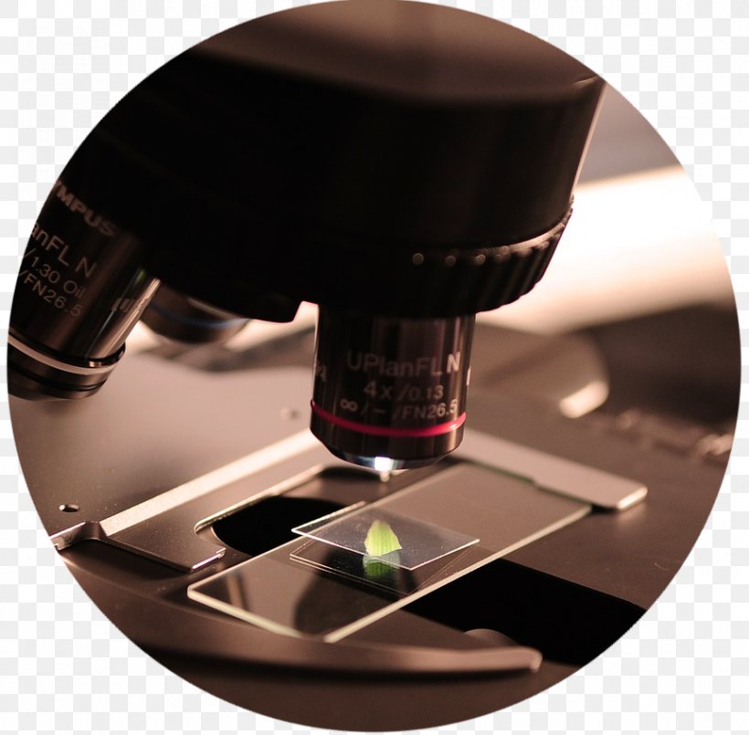 Institute Of Food And Agricultural Sciences Microscope Research Technology, PNG, 864x849px, Microscope, Biomedical Scientist, Business, Chemistry, Innovation Download Free