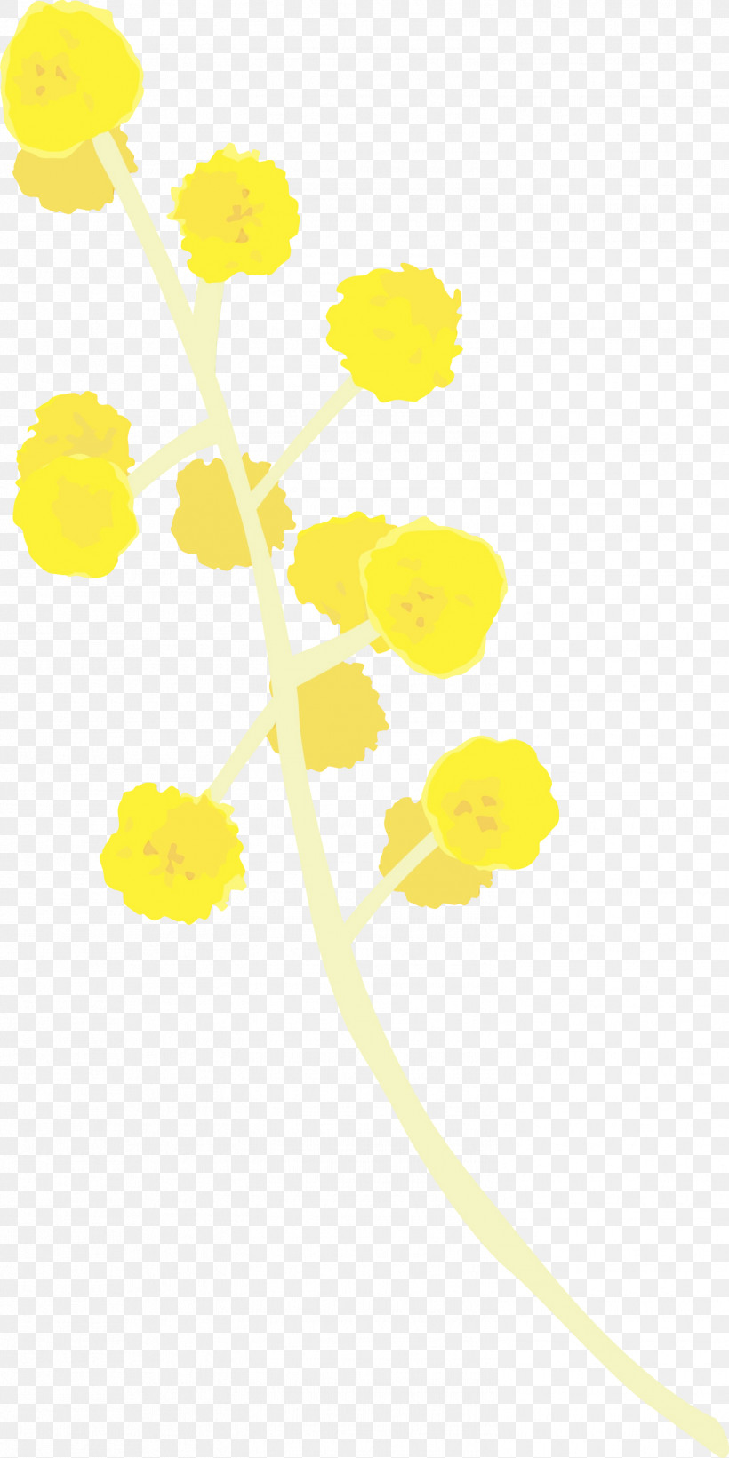 Yellow Line Plant Flower, PNG, 1499x3000px, Watercolor, Flower, Line, Paint, Plant Download Free