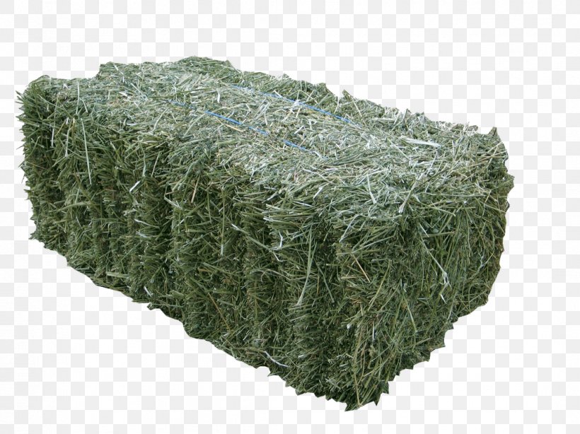 Alfalfa Hay Baler Fodder Silage, PNG, 1067x800px, Alfalfa, Agriculture, Baler, Business, Chaff Download Free