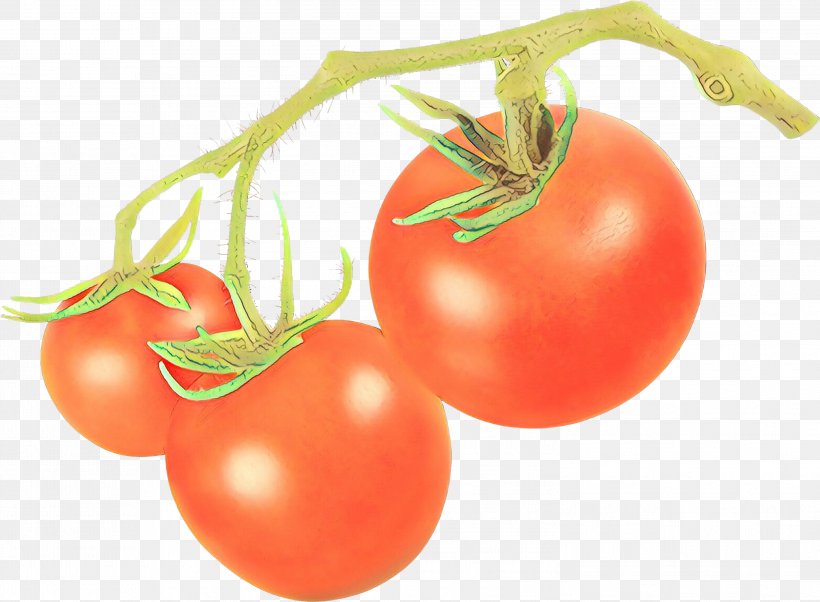 Clip Art Vector Graphics Free Content Image, PNG, 2999x2202px, Drawing, Art, Bush Tomato, Cherry Tomato, Cherry Tomatoes Download Free