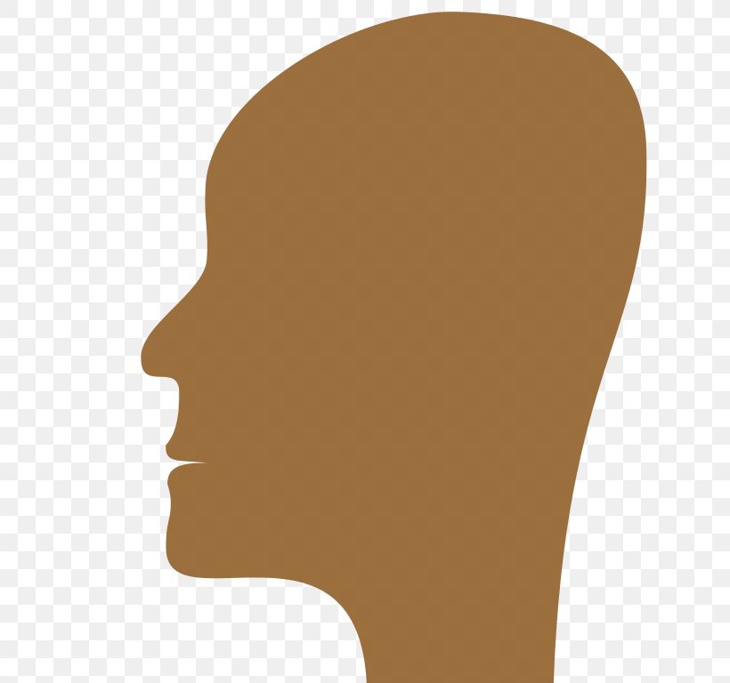 Face Human Head, PNG, 768x768px, Face, Cheek, Chin, Ear, Editing Download Free