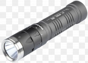 Torch - Flashlight Lumen Light-emitting Diode Lamp PNG