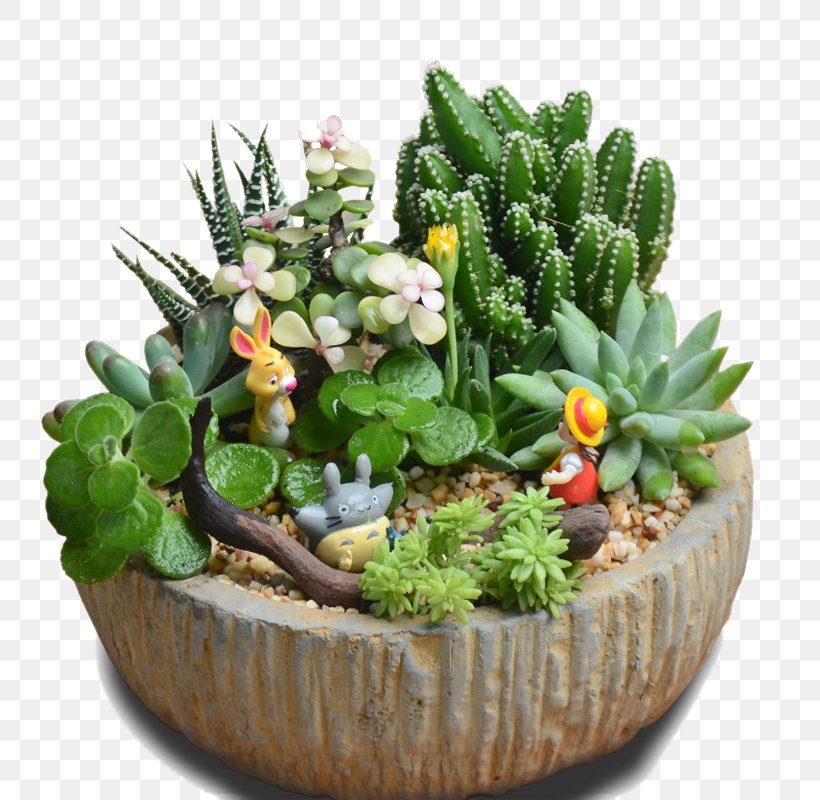Flowerpot Bonsai Vase, PNG, 800x800px, Flowerpot, Bonsai, Cactaceae, Cactus, Crock Download Free