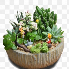 Circular Stone Pot - Flowerpot Bonsai Vase PNG
