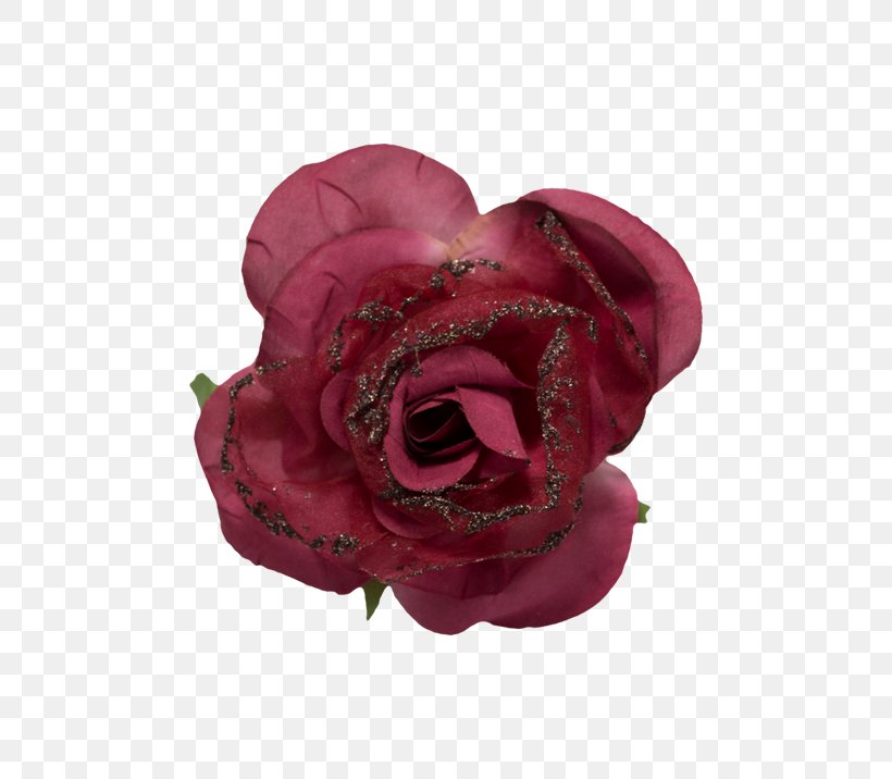Garden Roses Cabbage Rose Cut Flowers Barbecue Grill, PNG, 716x716px, Garden Roses, Barbecue Grill, Blossom, Cabbage Rose, Cut Flowers Download Free