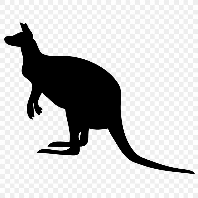 Kangaroo Clip Art, PNG, 1000x1000px, Kangaroo, Black And White, Carnivoran, Cat, Cat Like Mammal Download Free
