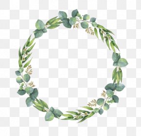 Eucalyptus Images Eucalyptus Transparent Png Free Download