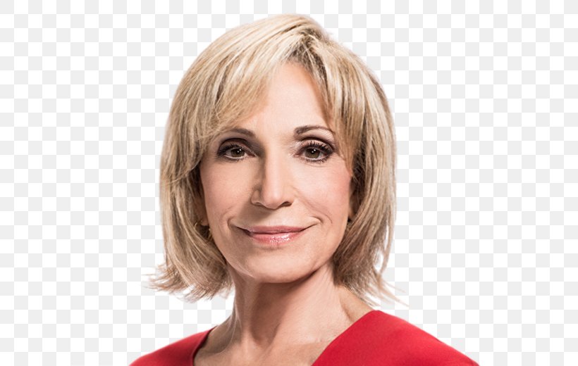Andrea Mitchell Reports MSNBC Television Show United States, PNG, 680x520px, Watercolor, Cartoon, Flower, Frame, Heart Download Free