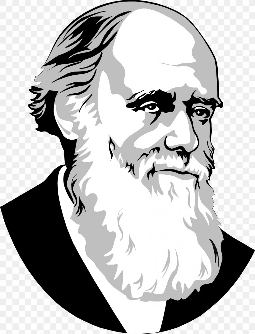 Drawing Clip Art, PNG, 1784x2338px, Drawing, Art, Beard, Biologist, Black And White Download Free