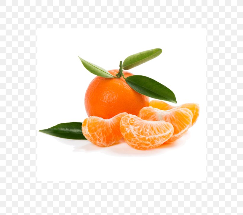 Tangerine Clementine Orange Lemon Fruit, PNG, 570x727px, Tangerine, Berry, Bitter Orange, Blood Orange, Citric Acid Download Free