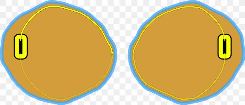 Dottercell Mitosis Cell Division Biology, PNG, 1866x802px, Mitosis, Area, Biology, Cell, Cell Cycle Download Free