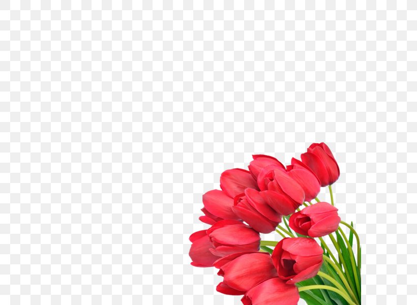 Flower Bouquet Tulip Cut Flowers, PNG, 600x600px, Flower Bouquet, Cut Flowers, Floral Design, Floristry, Flower Download Free