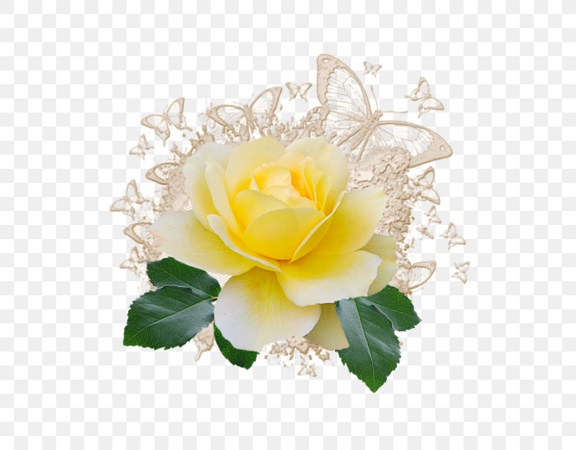 Garden Roses Ansichtkaart, PNG, 640x640px, 2016, Rose, Ansichtkaart, Artificial Flower, Cut Flowers Download Free