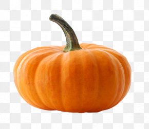 Pumpkin Cucurbita Clip Art, PNG, 2400x2400px, Pumpkin, Apple, Butternut ...