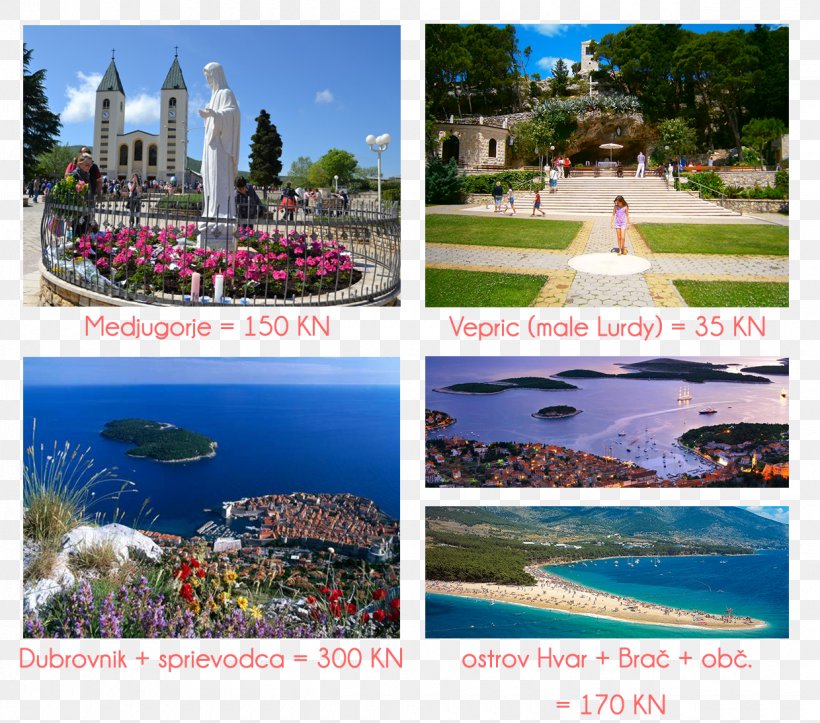Makarska Riviera Lomnica Tour Nevenka Tourism, PNG, 1240x1094px, Makarska Riviera, Beach, Coast, Flora, Garden Download Free