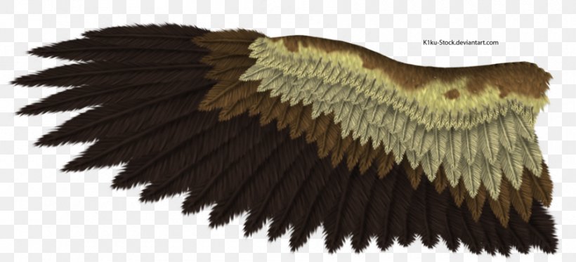 Bald Eagle Drawing Bird Golden Eagle, PNG, 900x410px, Bald Eagle, Art, Beak, Bird, Bird Of Prey Download Free