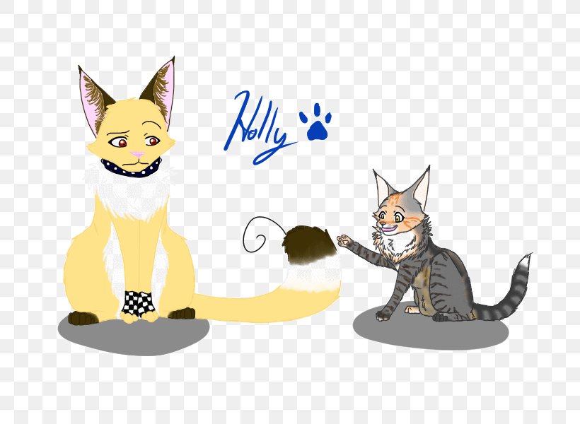 Kitten Whiskers Cat Cartoon, PNG, 800x600px, Kitten, Animated Cartoon, Carnivoran, Cartoon, Cat Download Free
