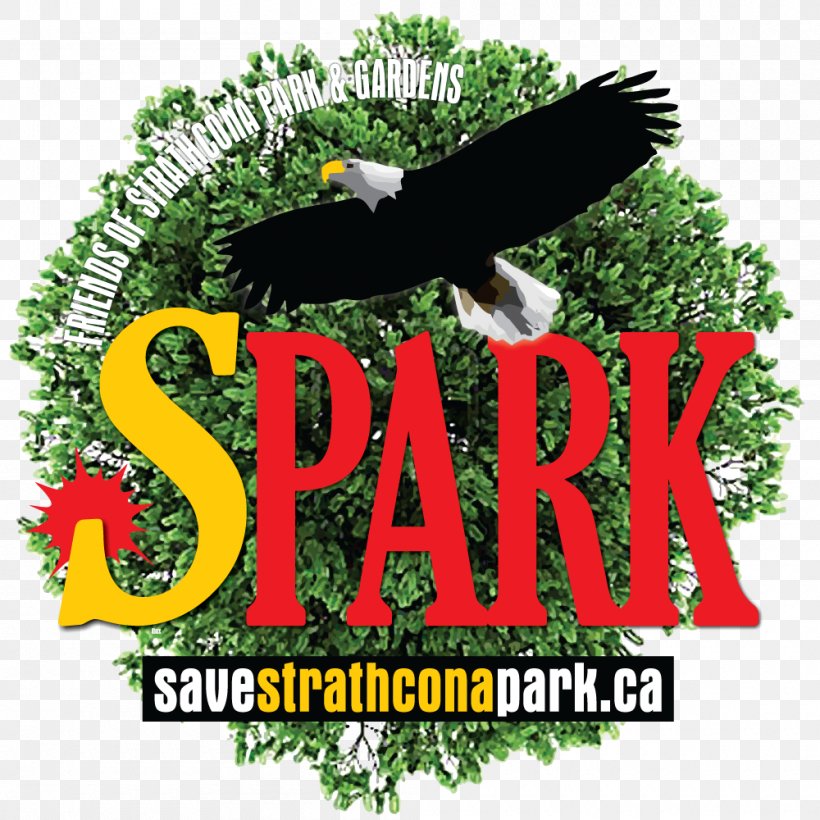 Strathcona Park Community Open Space Reserve Neighbourhood, PNG, 1000x1000px, Park, Advertising, Beak, Bird, Brand Download Free
