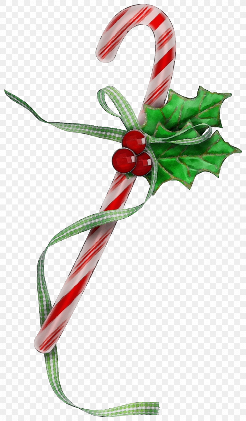 Candy Cane, PNG, 937x1600px, Watercolor, Bauble, Biology, Candy Cane, Christmas Day Download Free