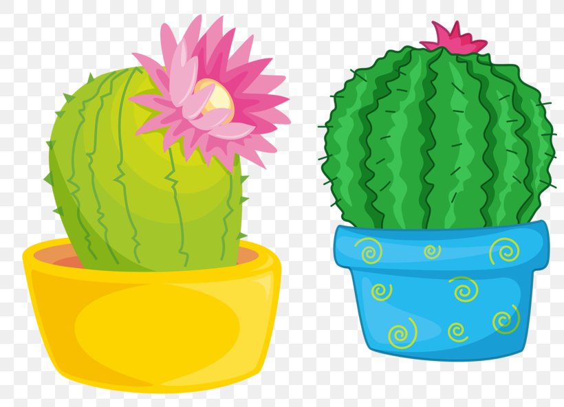 Plant Royalty-free Stock Photography Illustration, PNG, 800x592px, Plant, Animation, Cactaceae, Cactus, Caryophyllales Download Free