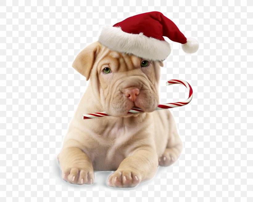 Puppy Boxer Dog Grooming Christmas Santa Claus, PNG, 1280x1024px, Puppy, Animal, Boxer, Carnivoran, Chew Toy Download Free