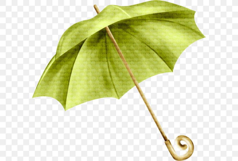 Umbrella Green Rain, PNG, 600x555px, Umbrella, Art, Auringonvarjo, Green, Leaf Download Free