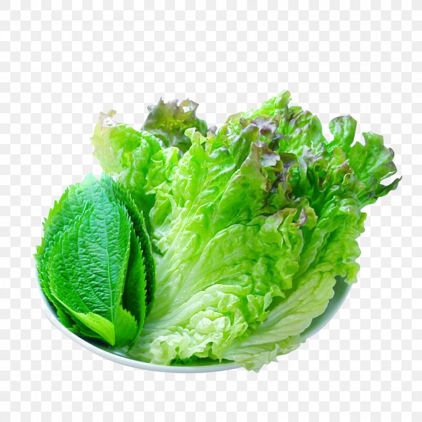 Vegetarian Cuisine Leaf Vegetable Romaine Lettuce, PNG, 1000x1000px, Vegetarian Cuisine, Food, Leaf Vegetable, Lettuce, Rapini Download Free