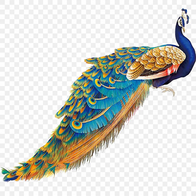 China Bird Peafowl Feather, PNG, 2057x2057px, China, Animal, Beak, Bird, Fauna Download Free