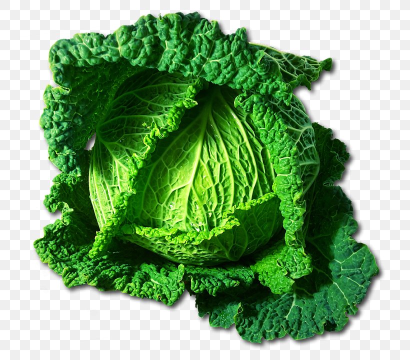 Leaf Vegetable Savoy Cabbage Capitata Group Cruciferous Vegetables, PNG, 744x720px, Vegetable, Cabbage, Cabbages, Capitata Group, Cauliflower Download Free