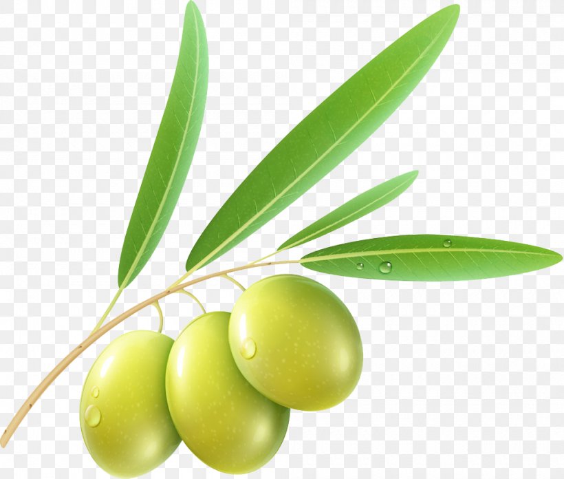 Olive Stock Photography Clip Art, PNG, 1000x849px, Olive, Food, Fruit, Olive Leaf, Olive Oil Download Free
