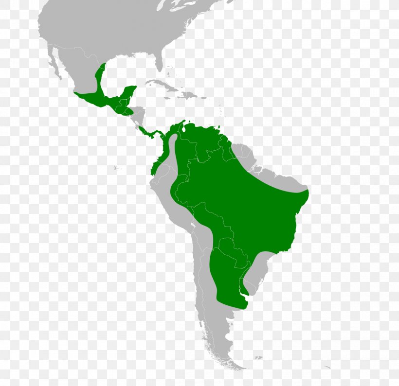 South America United States Latin America, PNG, 1200x1163px, South America, Americas, Grass, Green, Hand Download Free