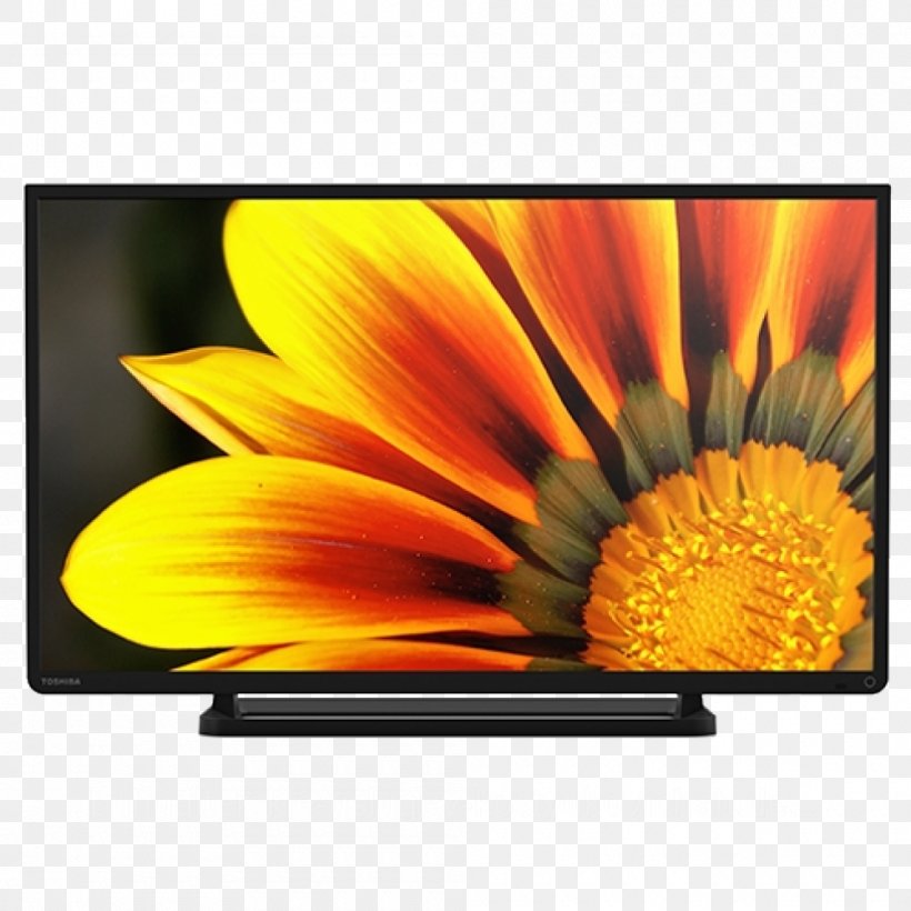 1080p High-definition Television LED-backlit LCD Toshiba TV, PNG, 1000x1000px, Highdefinition Television, Daisy Family, Display Device, Electronic Visual Display, Electronics Download Free