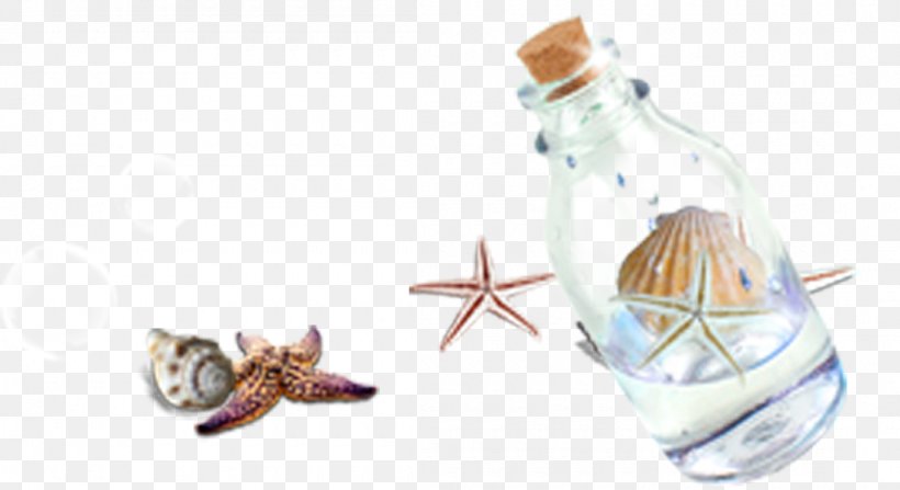 Bottle Seashell Glass, PNG, 1100x600px, Bottle, Designer, Drinkware, Glass, Glass Bottle Download Free