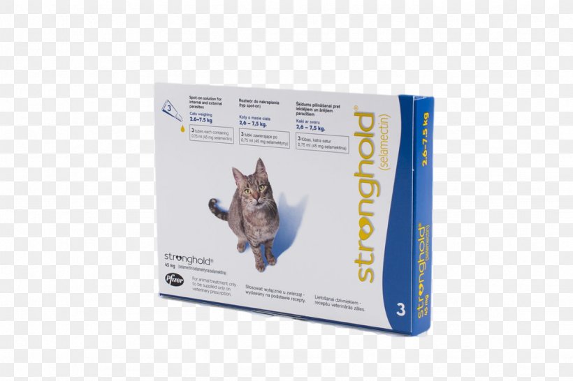 Cat Dog Stronghold Flea Selamectin, PNG, 1024x682px, Cat, Dog, Flea, Flea Treatments, Fluralaner Download Free