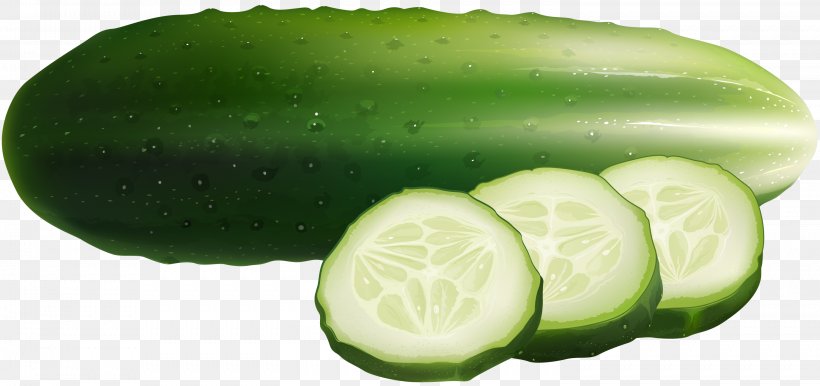 Cucumber Euclidean Vector Food Illustration, PNG, 2993x1409px, Cucumber, Cucumber Gourd And Melon Family, Cucumis, Food, Fruit Download Free