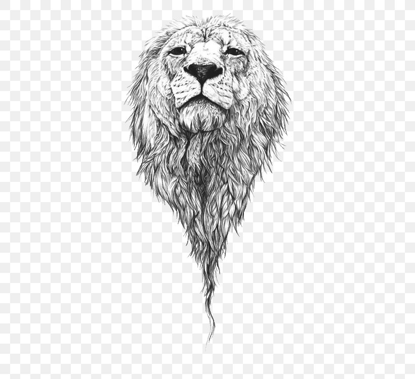 Lion Drawing Art Sketch, PNG, 427x750px, Lion, Art, Art Museum, Artist, Big Cats Download Free