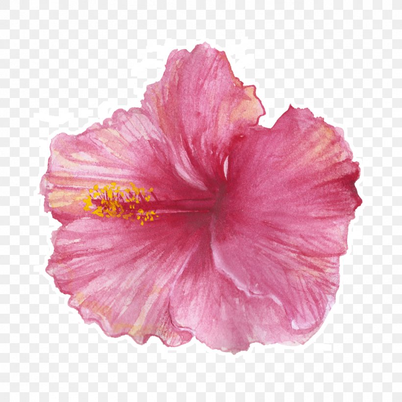 Art Hibiscus Tea Towel Roselle Shoeblackplant, PNG, 958x958px, Art, Adhesive, Art Museum, China Rose, Chinese Hibiscus Download Free
