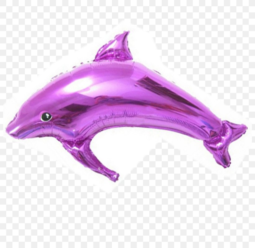 Dolphin Marine Biology Pink M Balloon, PNG, 800x800px, Dolphin, Balloon, Biology, Mammal, Marine Biology Download Free