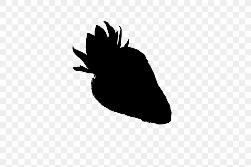 Font Silhouette Beak Black M, PNG, 6000x4000px, Silhouette, Beak, Bird, Black, Black M Download Free