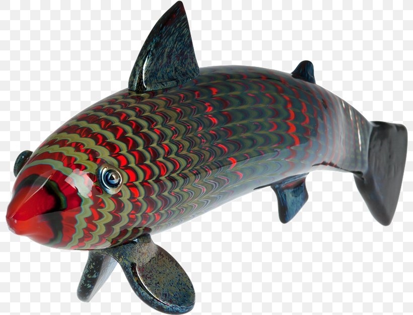 Salmon Fish PhotoScape, PNG, 800x625px, Salmon, Animal, Aquarium, Bony Fish, Fish Download Free