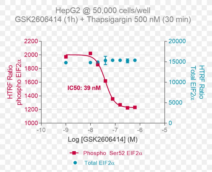 EIF2 Phosphorylation Eukaryotic Translation Initiation Factor 2-alpha Kinase 1 Assay Cell, PNG, 1063x866px, Phosphorylation, Area, Assay, Cell, Coating Download Free